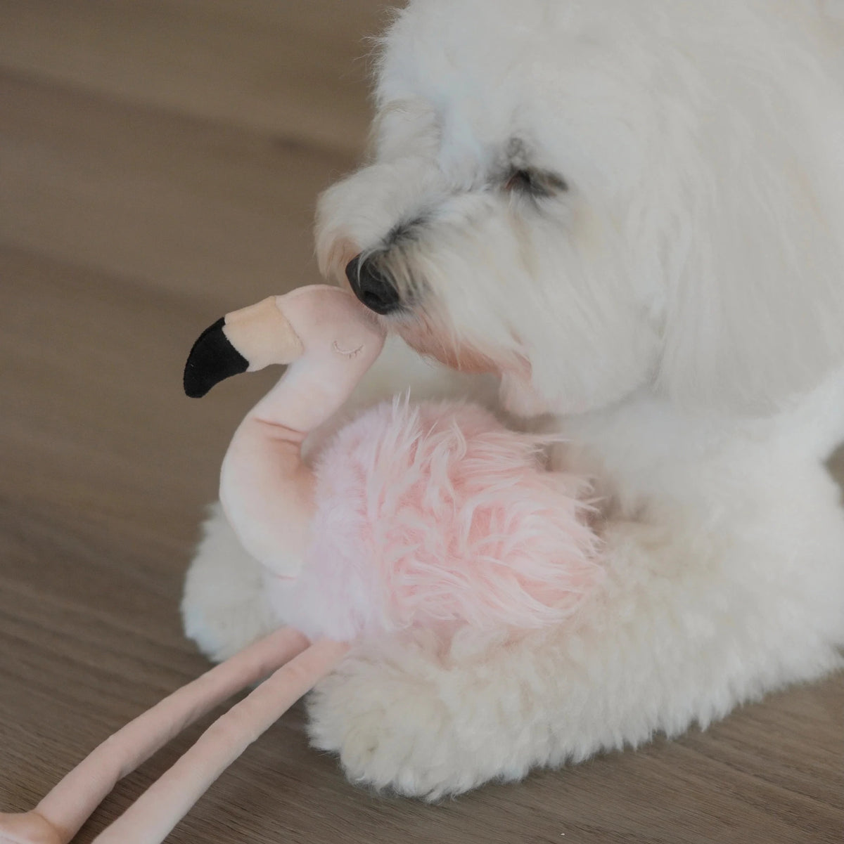 Flamingo - Woof Living