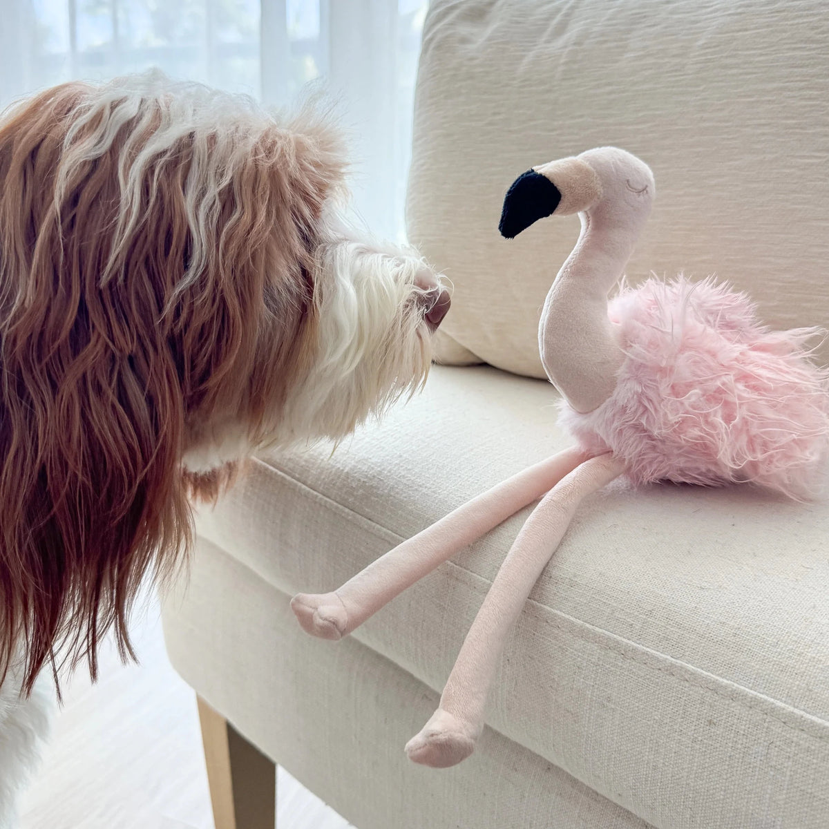 Flamingo - Woof Living
