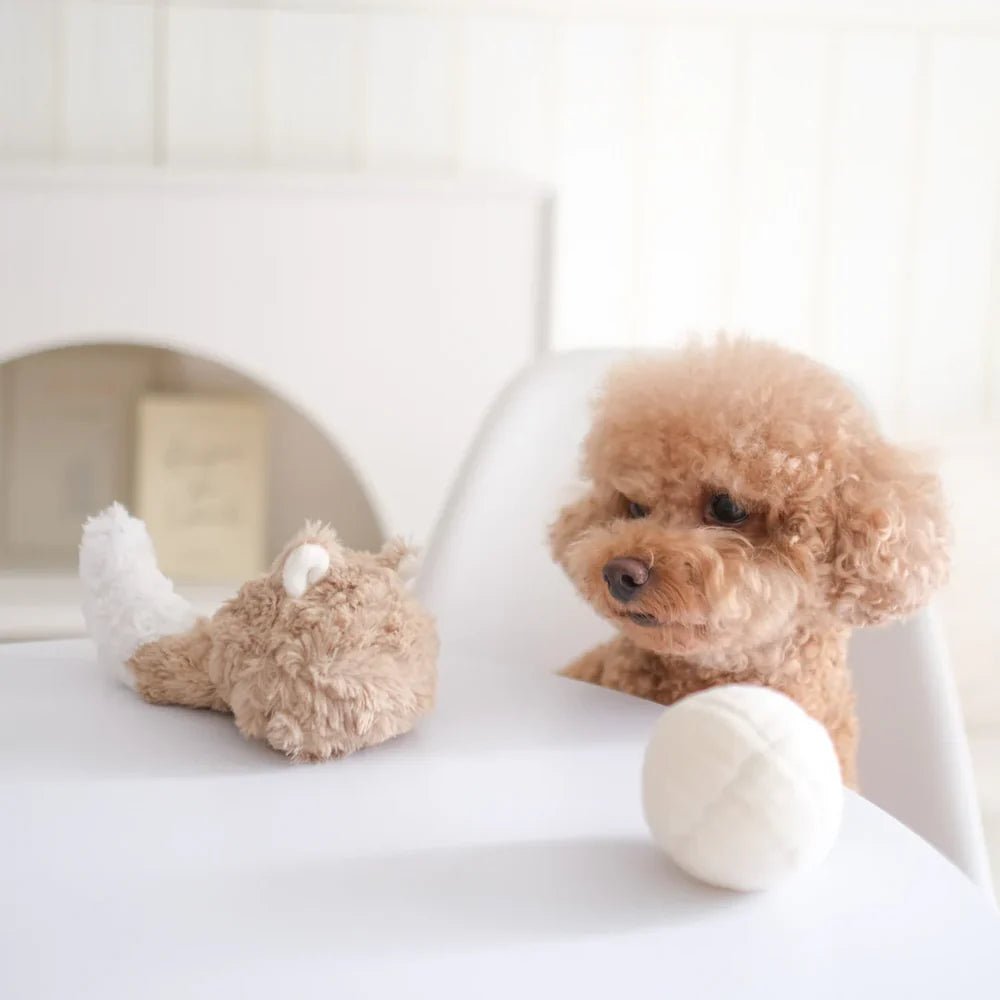 Fox Pop - Woof Living
