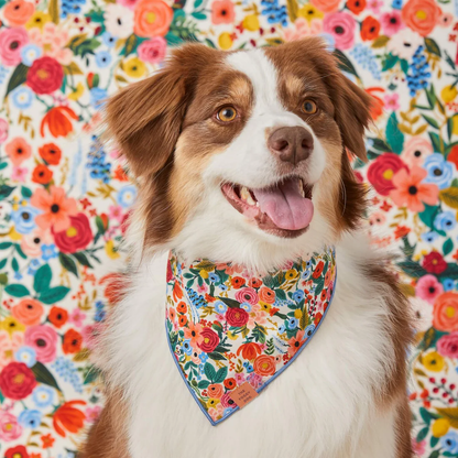 Garden Party Bandana - Woof Living