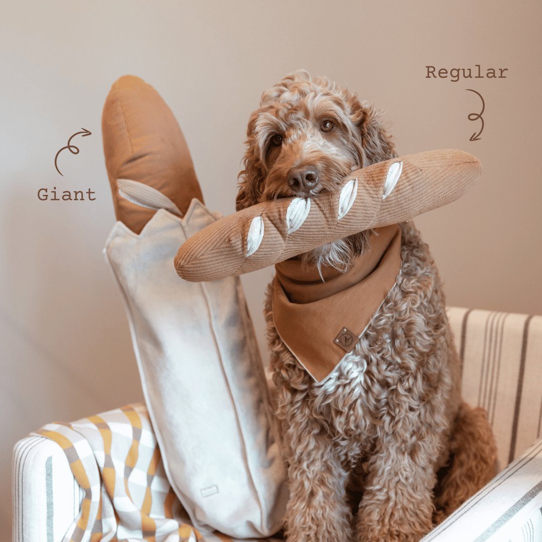 Giant Baguette - Woof Living