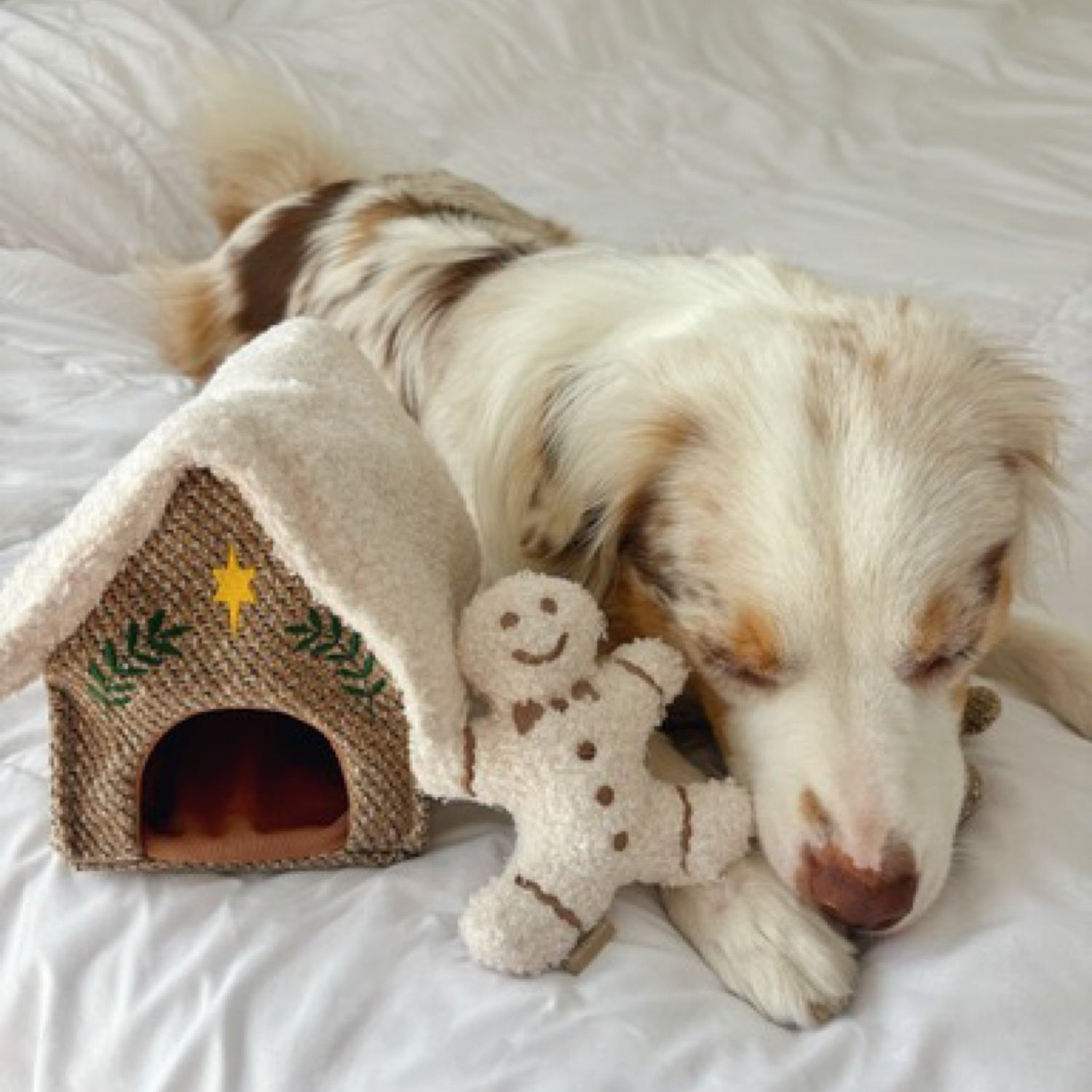 Gingerbread House (House only) - Woof Living