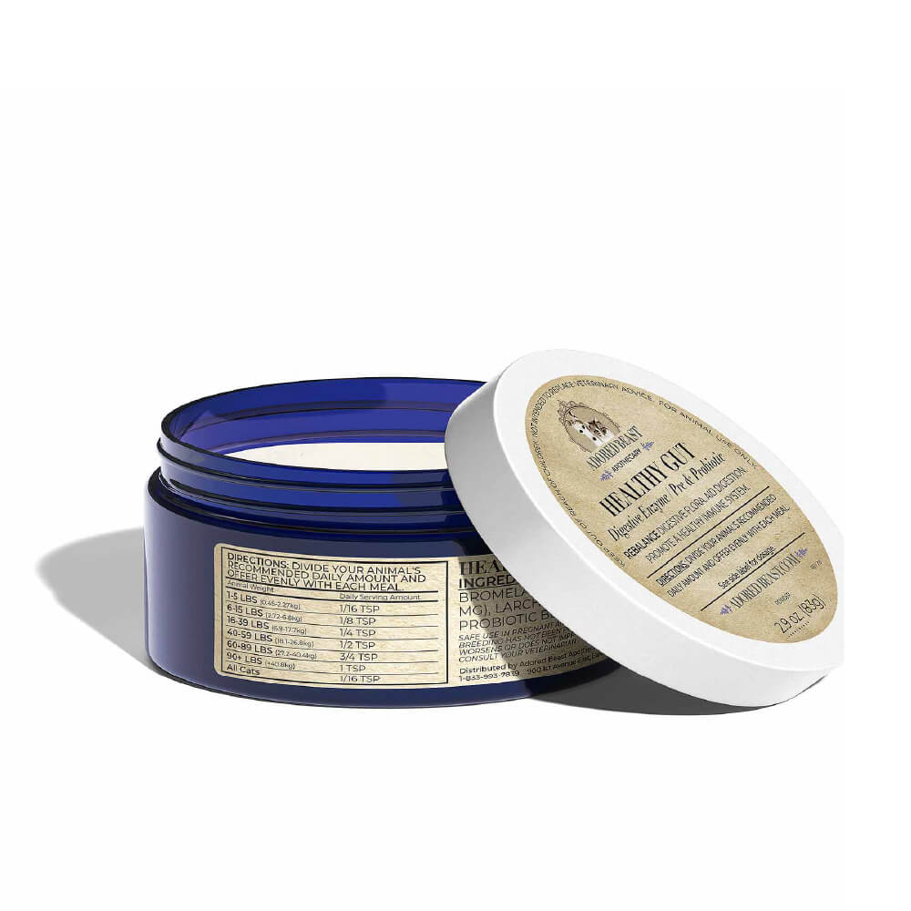 Adored Beast Healthy Gut – lid removed showing powder texture