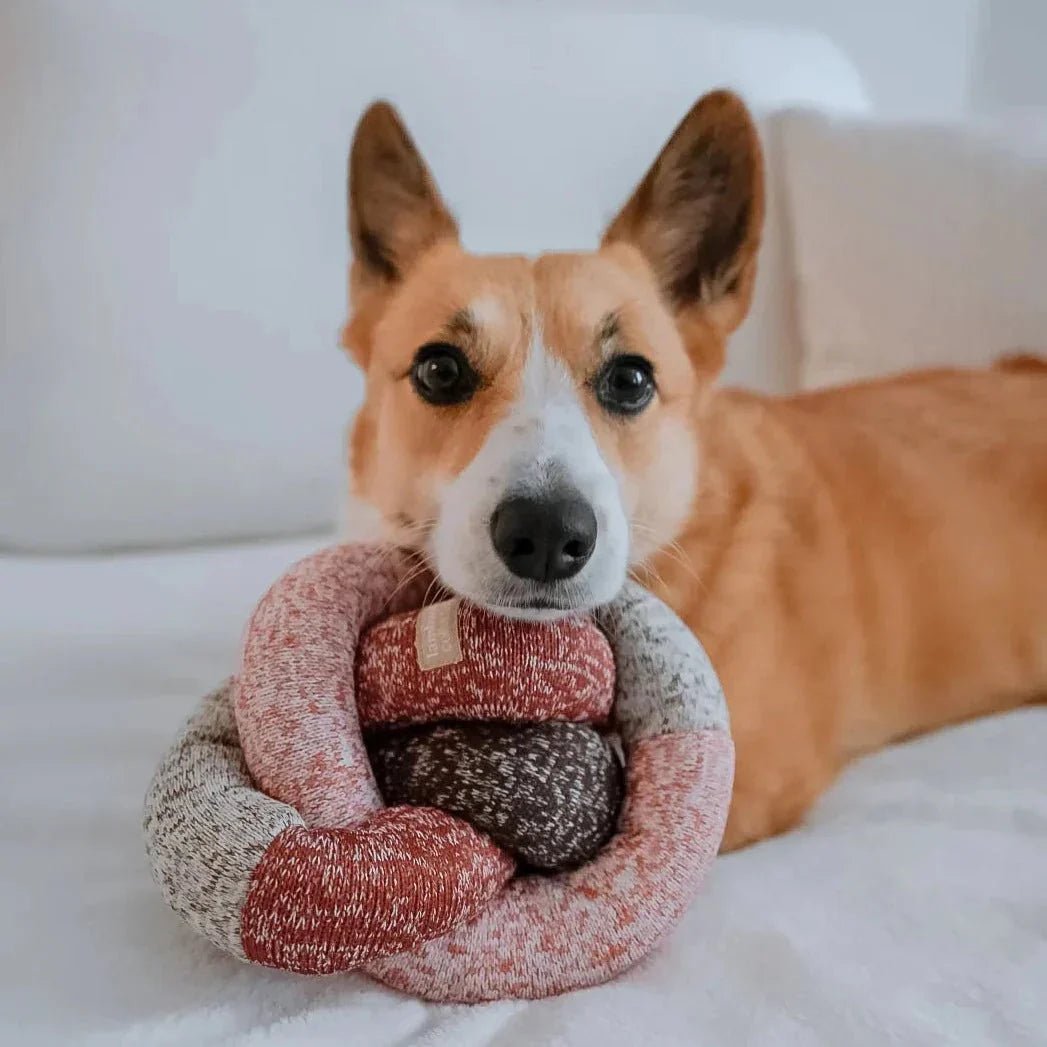 Holiday NOU® - Woof Living
