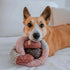Holiday NOU® - Woof Living