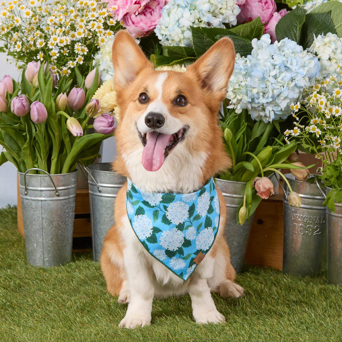 Hydrangea Bandana - Woof Living