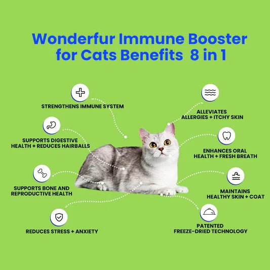 Immune Booster for Cats - Woof Living