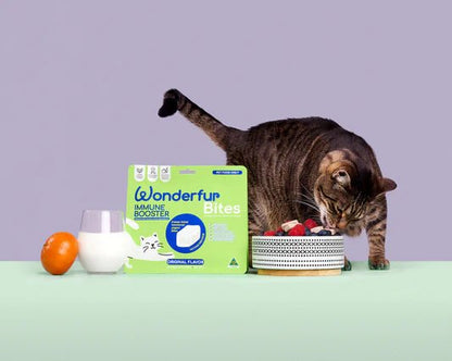 Immune Booster for Cats - Woof Living