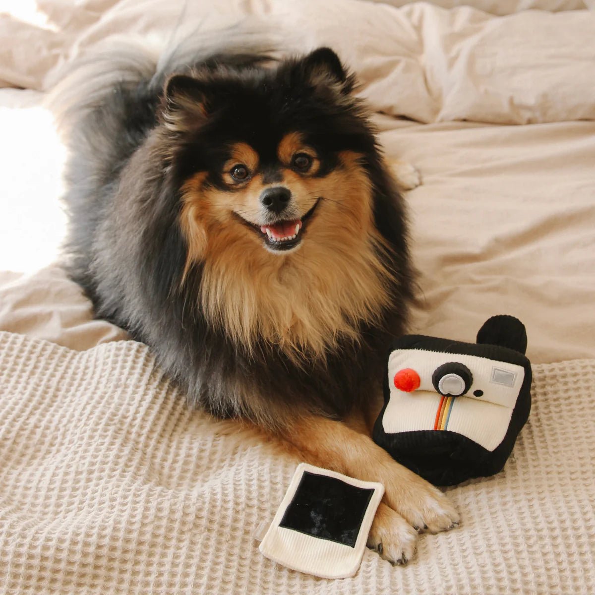 Instant Camera - Woof Living