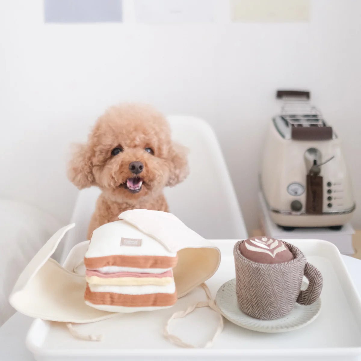 Latte Pop - Woof Living