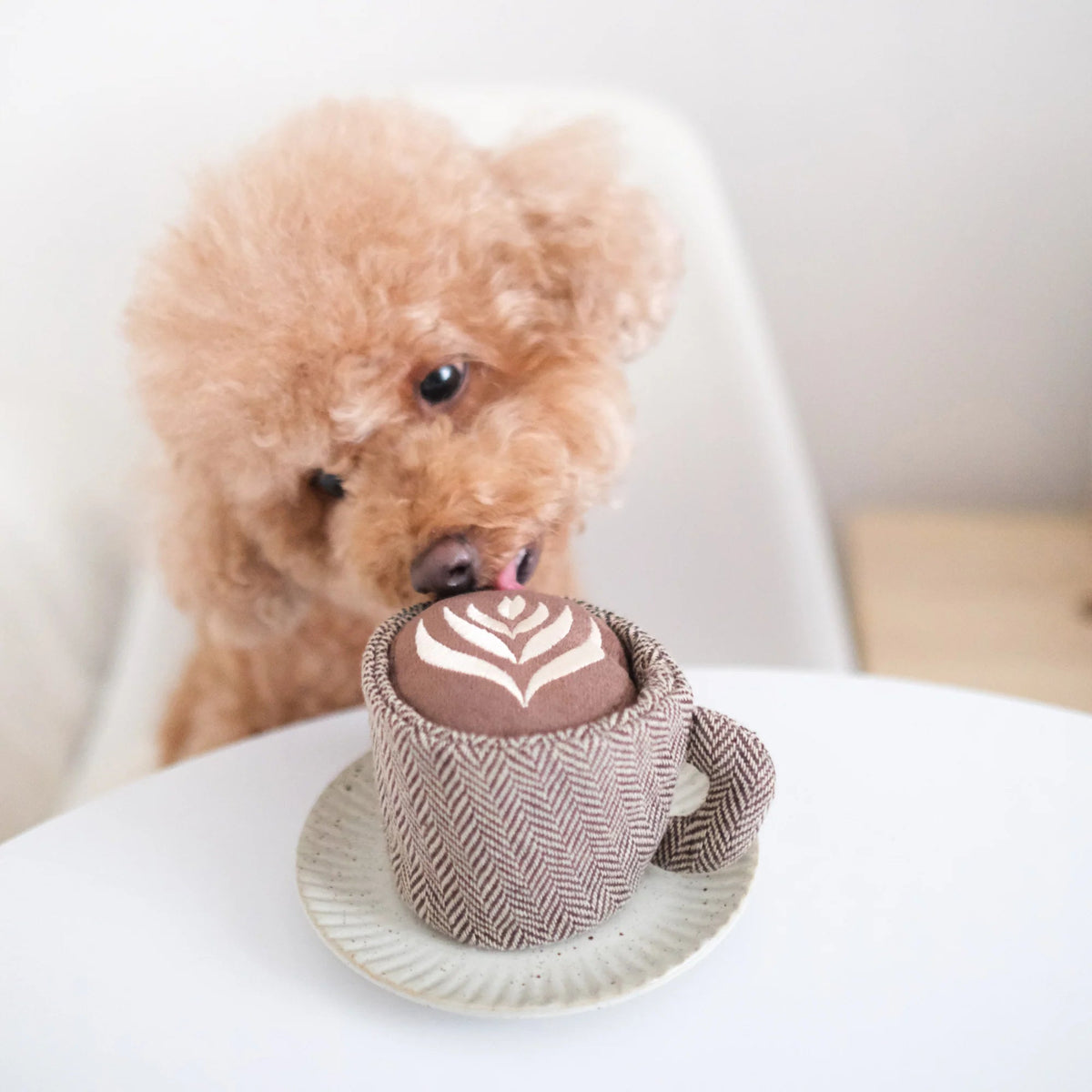 Latte Pop - Woof Living
