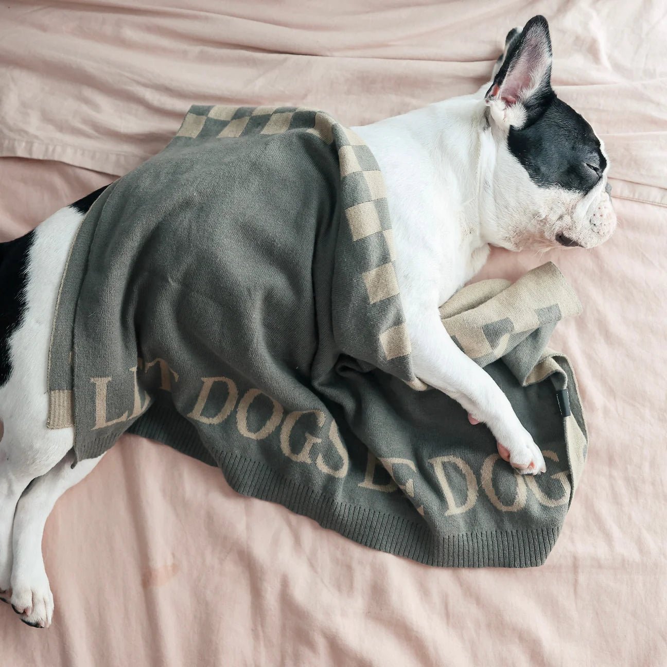 Let Dogs Be Dogs Blanket - Woof Living