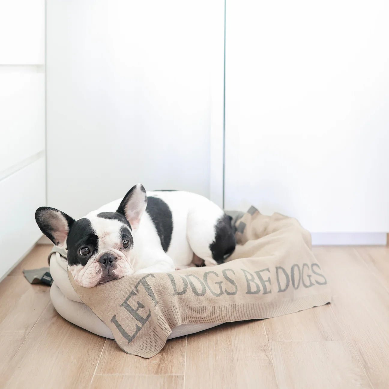 Let Dogs Be Dogs Blanket - Woof Living