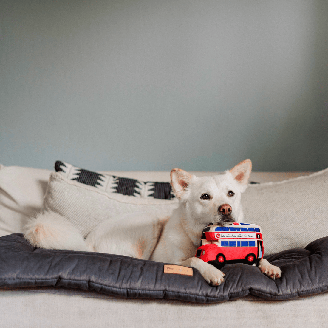 Lickety Split Bus - Woof Living