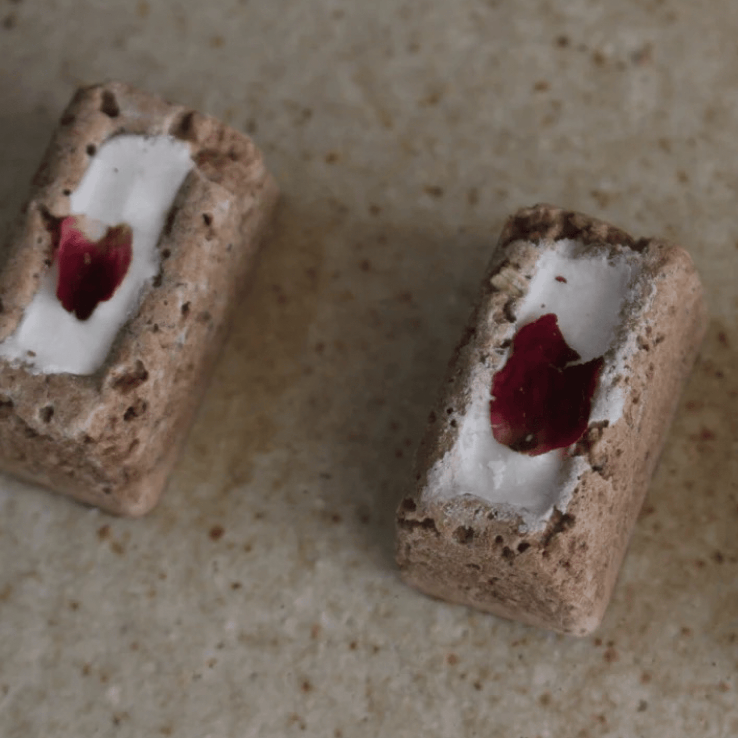 Liver Praline Pork - Woof Living