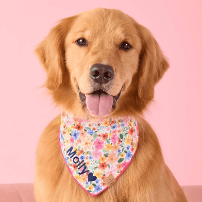 Margaux Bandana - Woof Living