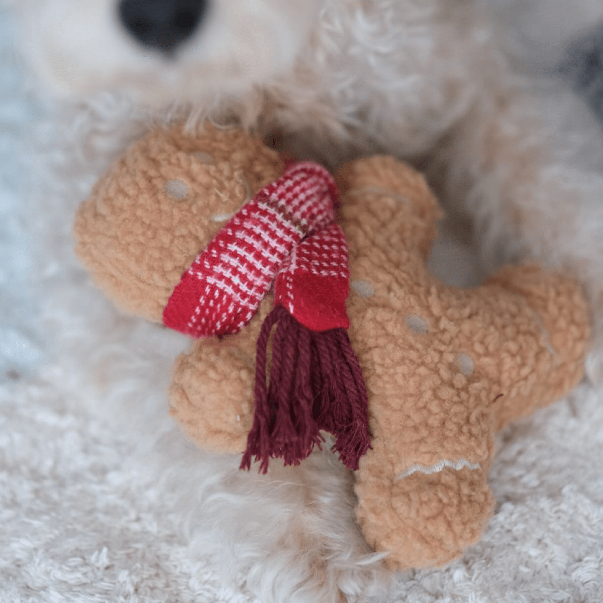 Mister Gingerbread - Woof Living