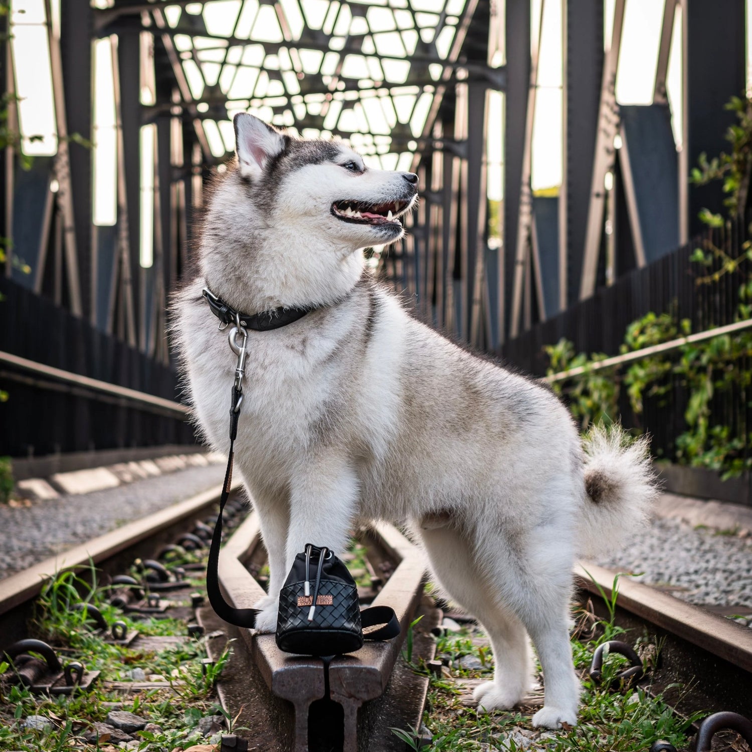 Myra Pouch (Stealth) - Woof Living