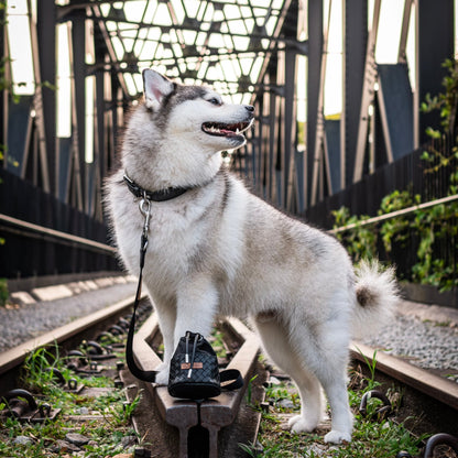 Myra Pouch (Stealth) - Woof Living