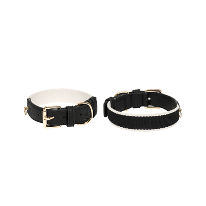 Noir Collar - Woof Living