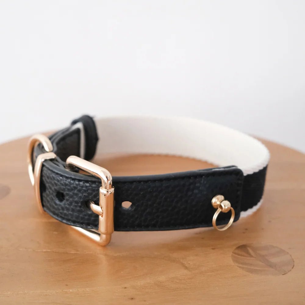Noir Collar - Woof Living