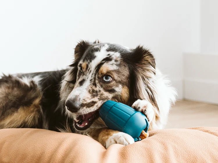 OBEE! Stuff - Woof Living