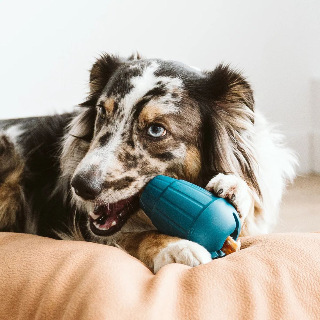 OBEE! Stuff - Woof Living