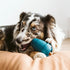 OBEE! Stuff - Woof Living