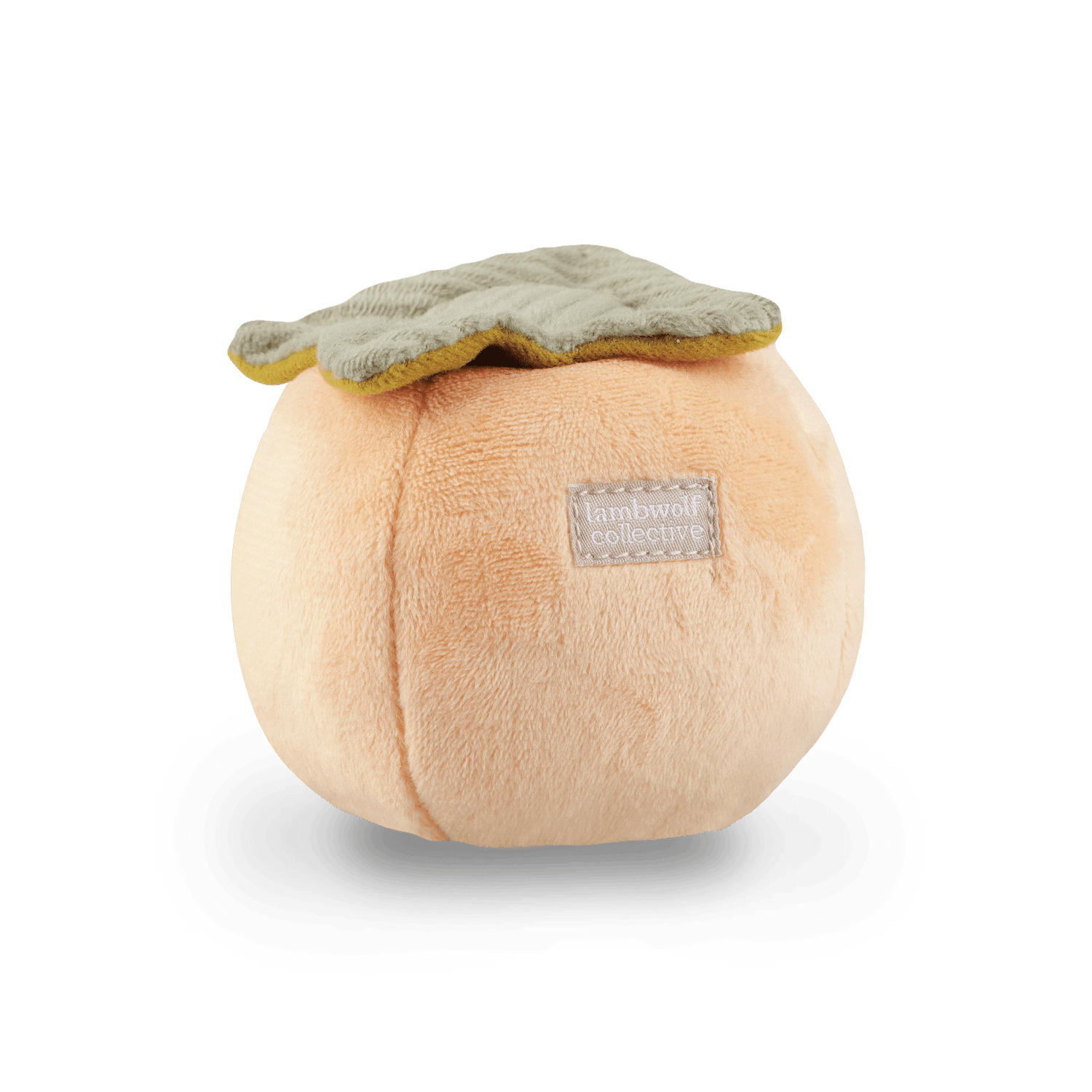 Persimmon - Woof Living