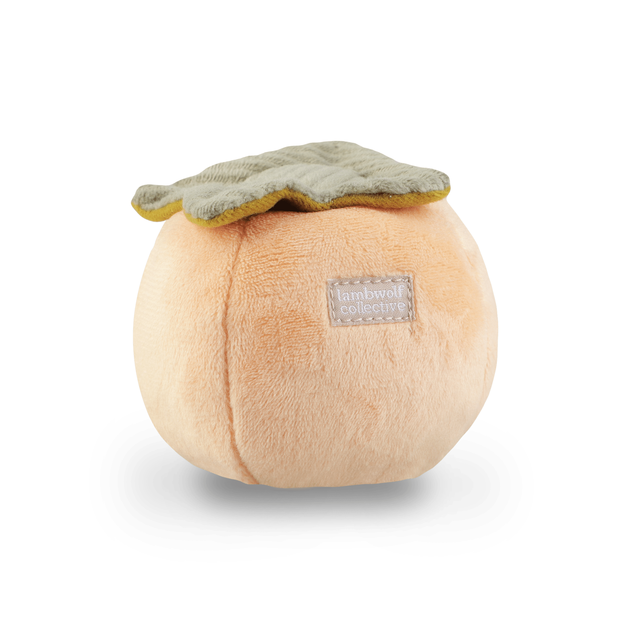 Persimmon - Woof Living