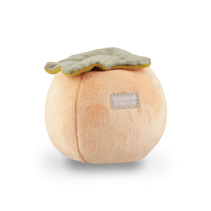 Persimmon - Woof Living