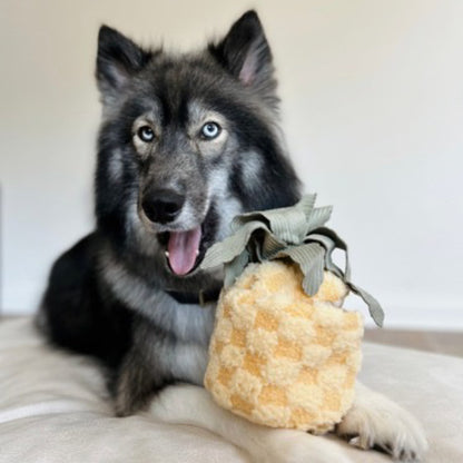 Pineapple Pop - Woof Living