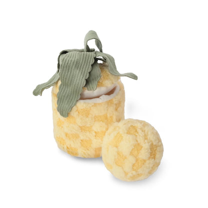 Pineapple Pop - Woof Living