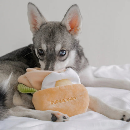 Pita Pocket Nosework Toy - Woof Living