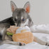 Pita Pocket Nosework Toy - Woof Living
