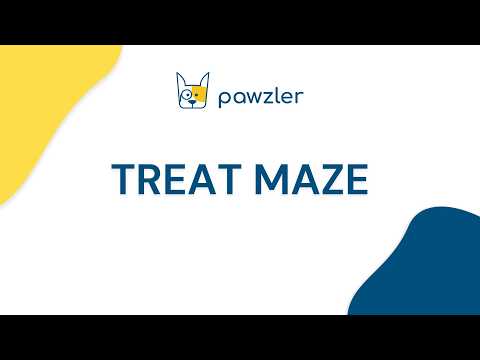 Treat Maze Set