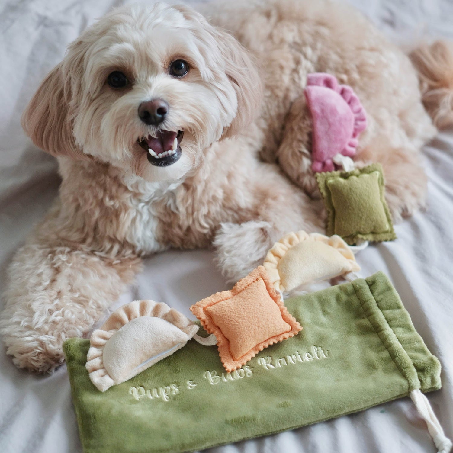 Ravioli Nosework Toy - Woof Living