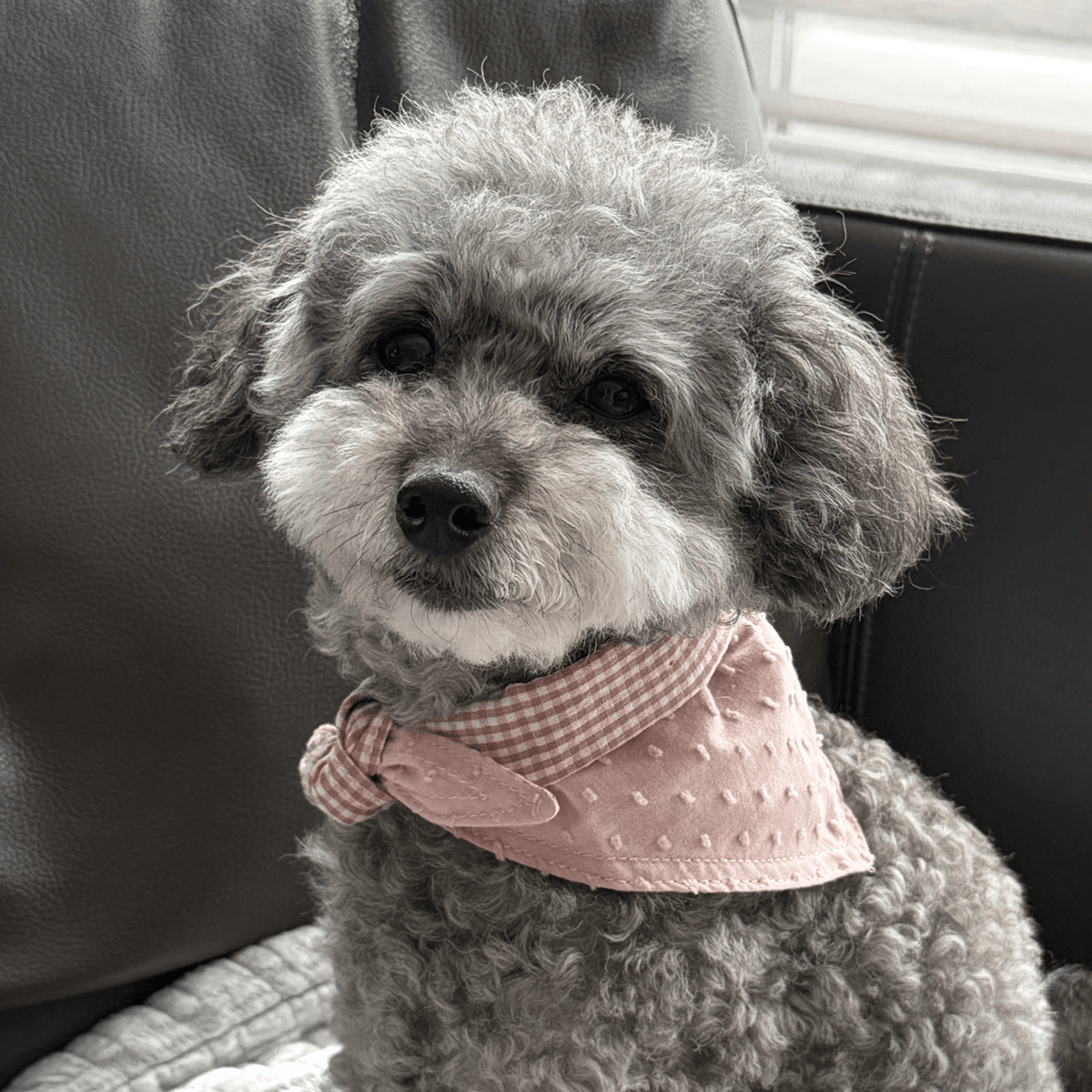 Reversible Pink Bandana - Woof Living