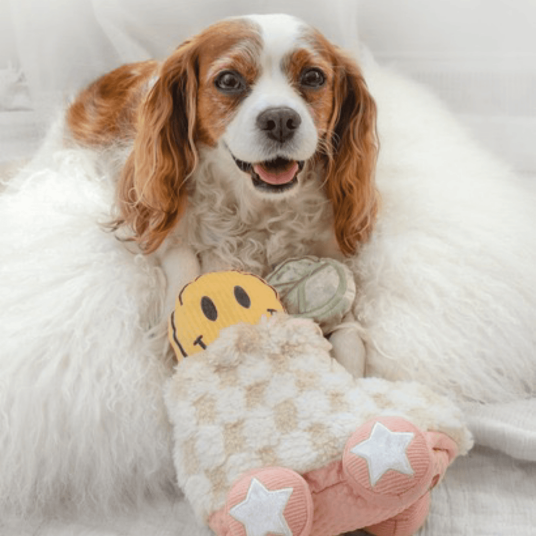 Rollerskate - Woof Living