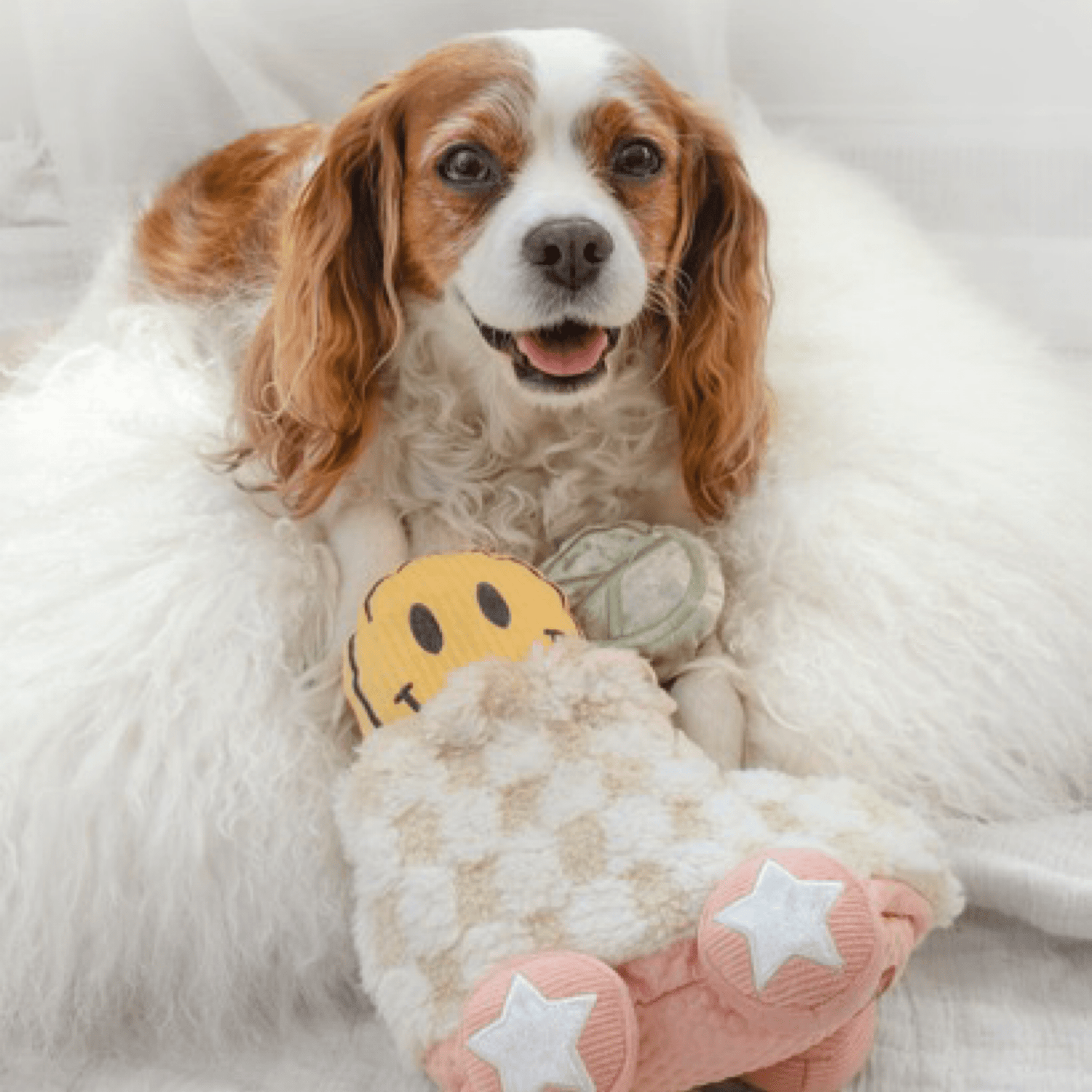 Rollerskate - Woof Living