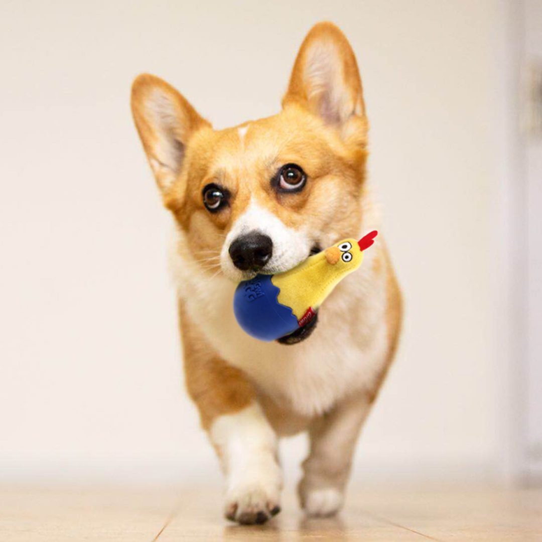 Rooster Egg Wobble Toy with Squeaker - Woof Living
