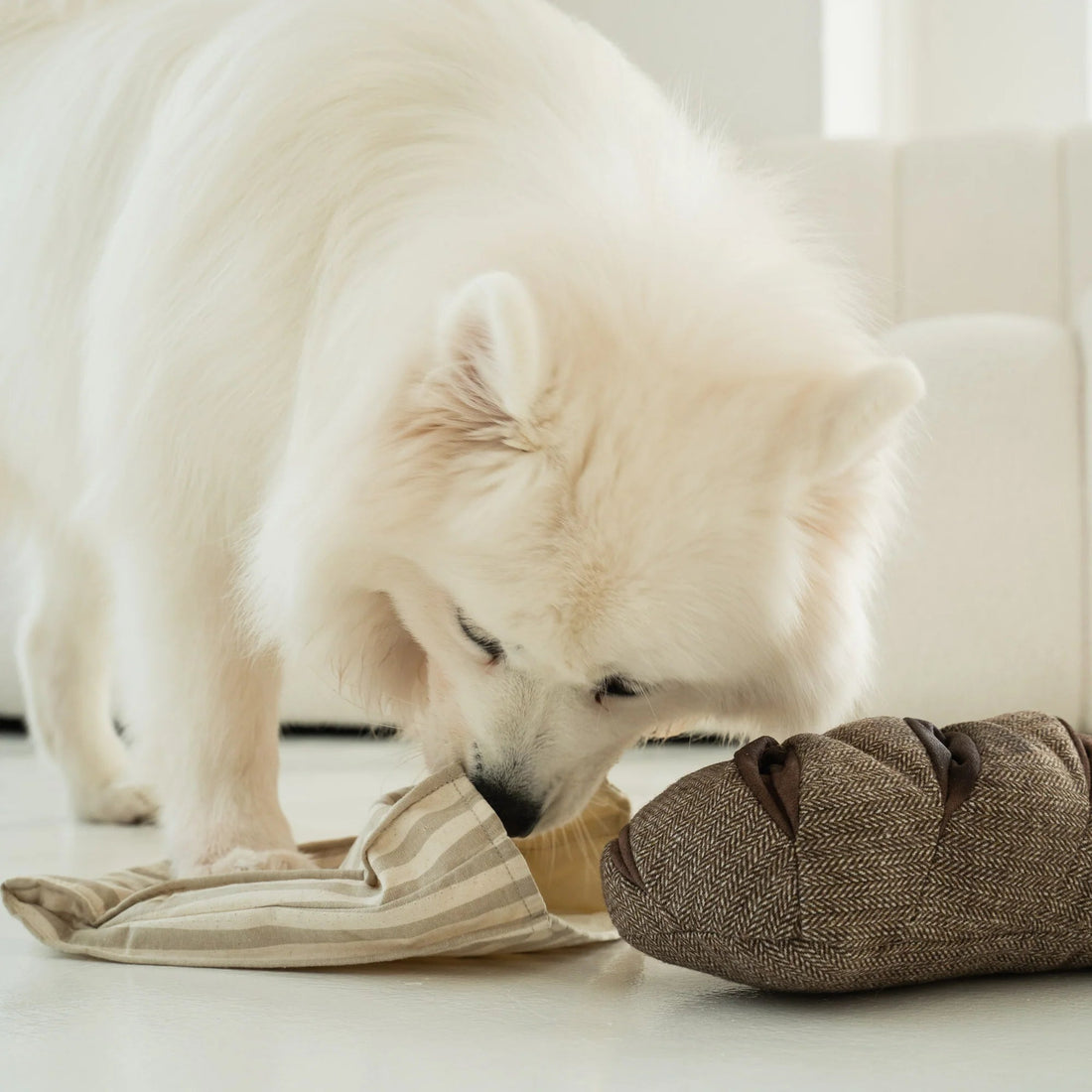 Rye Bread - Woof Living