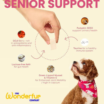 Senior Support Freeze - Dried Treats for Dogs - Woof Living