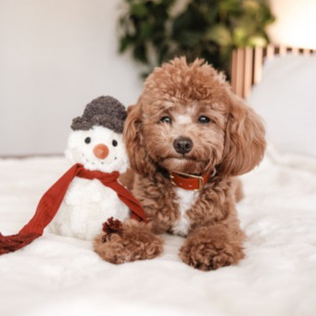 Snowman - Woof Living