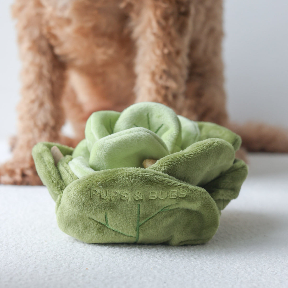 Snuffle Cabbage Nosework Toy - Woof Living