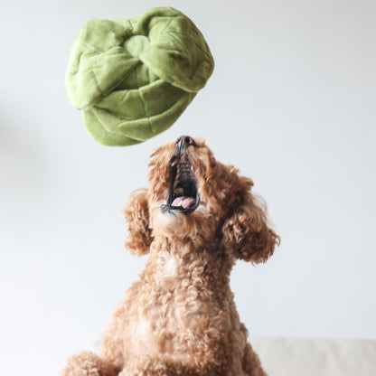 Snuffle Cabbage Nosework Toy - Woof Living