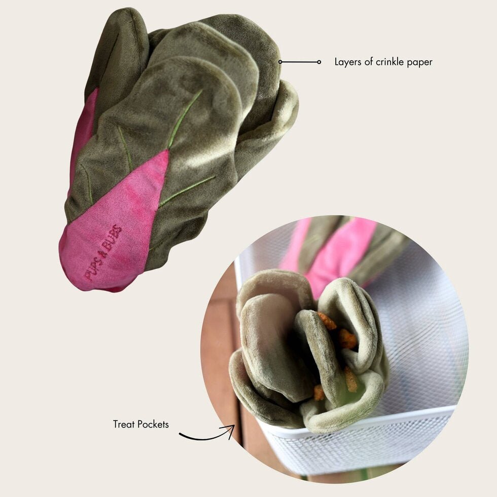 Snuffle Swiss Chard - Woof Living