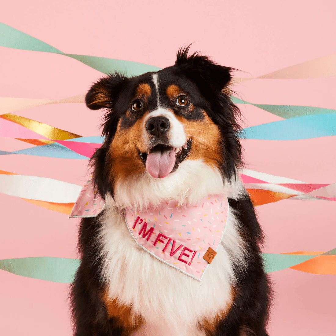 Sprinkles Bandana - Woof Living