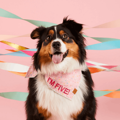 Sprinkles Bandana - Woof Living