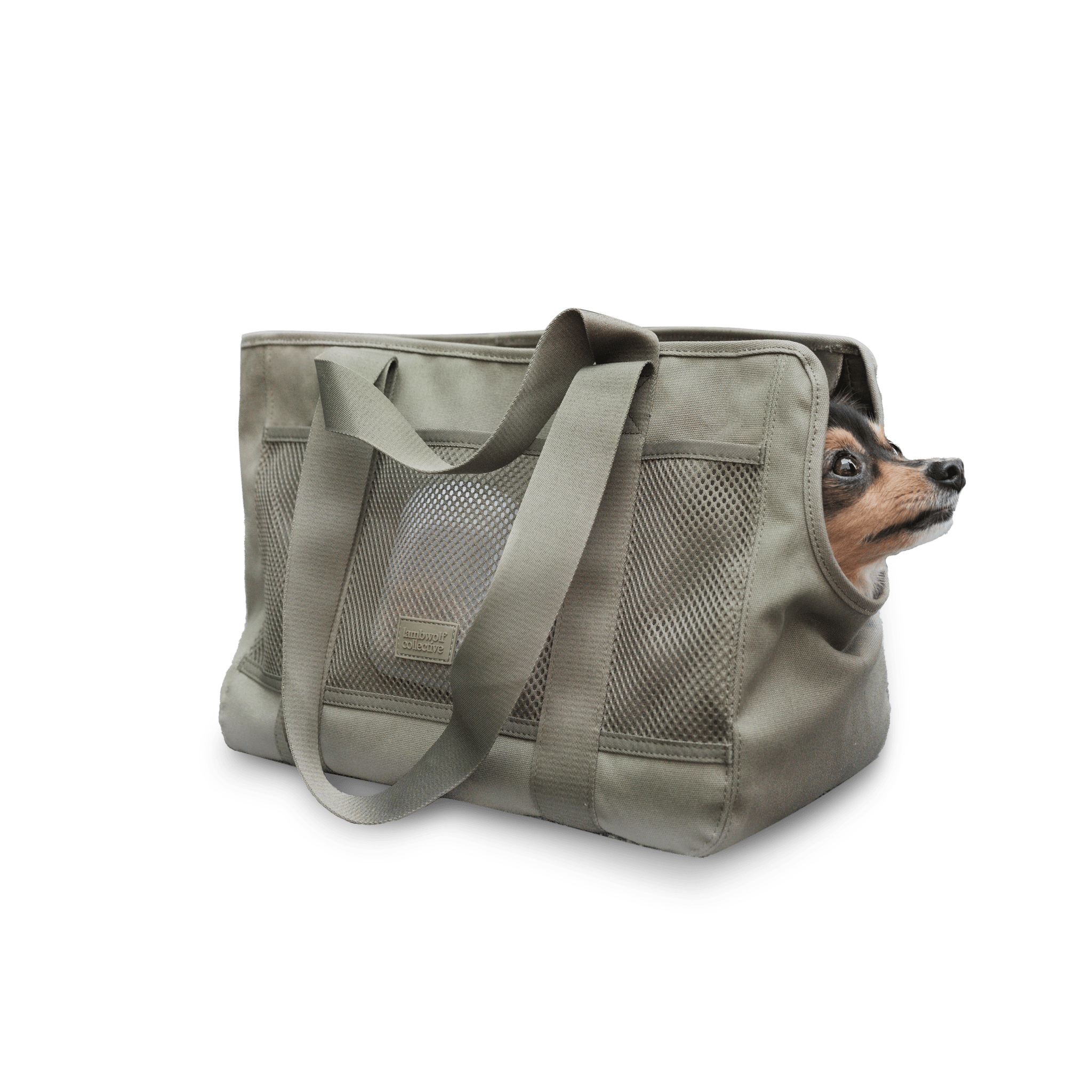 Subway Pet Carrier 2.0 - Woof Living